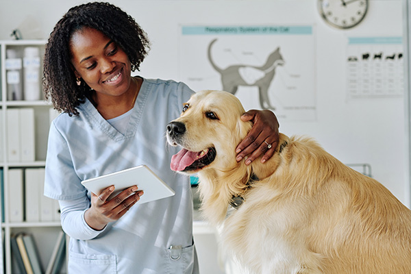 Veterinary Laboratory Technology