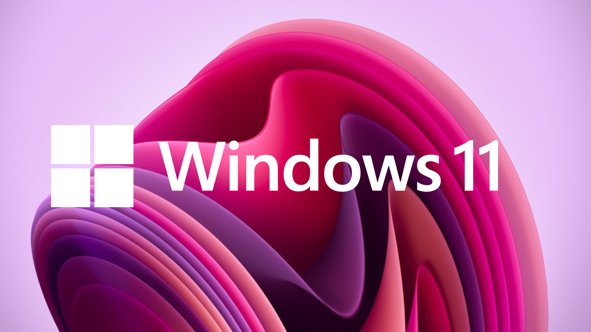 Windows 11 Interface