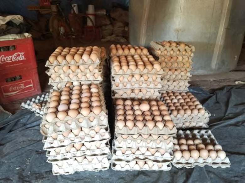 Sura 34: Biosecurity ya kuzuia tatizo kabla halijaingia
