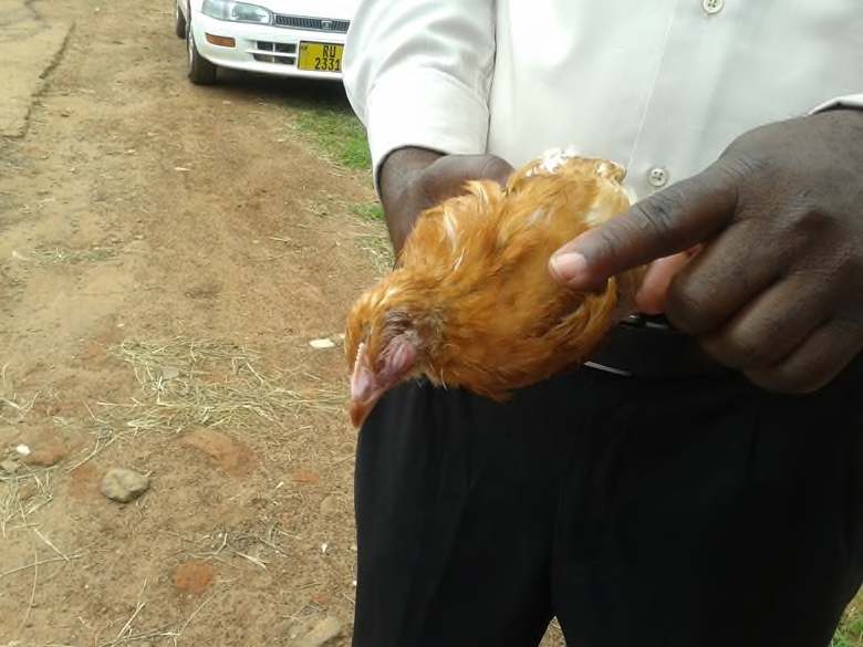 Sura 40: Magonjwa ya mfumo wa hewa