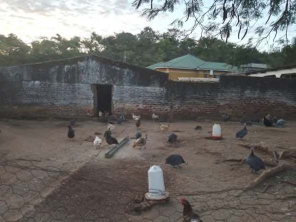 Sura 44: Kanuni za msingi za matumizi ya dawa