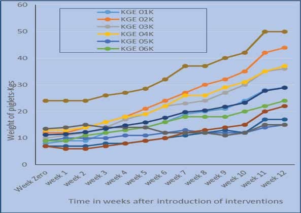 Mfano wa graph ya ukuaji wa nguruwe.