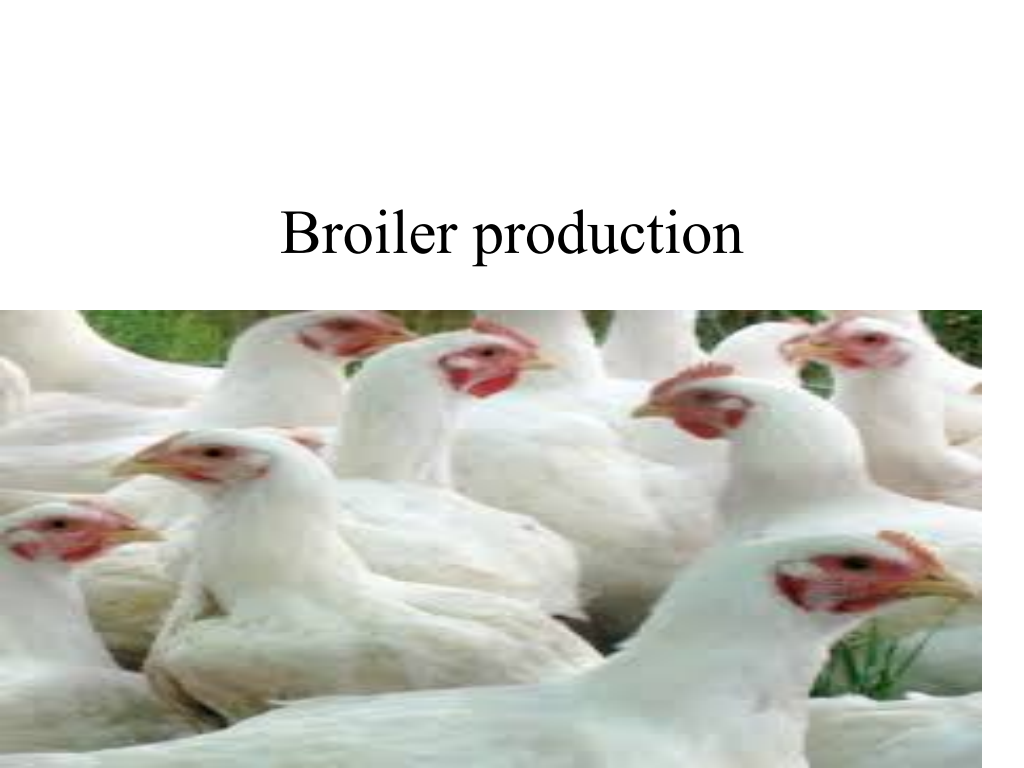 Cover slide of Broiler Management