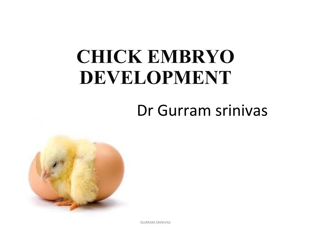 Cover slide of Chick Embryo Development - Fertilized and Unfertilized Eggs