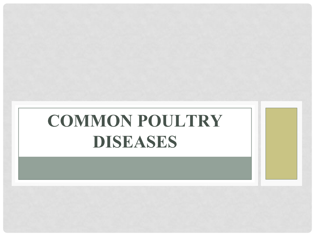 Cover slide of Common Poultry Diseases and Vaccination