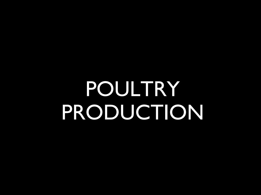Cover slide of Poultry Production